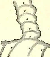 An illustration from An introduction to astronomy : designed as a text book for the students of Yale College (1846)