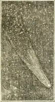 An illustration from An introduction to astronomy : designed as a text book for the students of Yale College (1846)