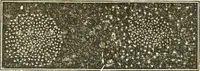 An illustration from An introduction to astronomy : designed as a text book for the students of Yale College (1846)