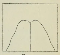 Picture 9 of 9 from An introduction to the chemistry of paints (1910), leaf 217