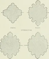 An illustration from An introduction to English church architecture : from the eleventh to the sixteenth century (1913)