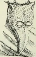 An illustration from An introduction to English church architecture : from the eleventh to the sixteenth century (1913)