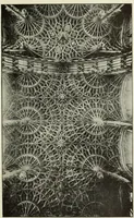 An illustration from An introduction to English church architecture : from the eleventh to the sixteenth century (1913)