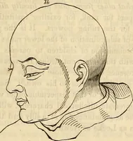 An illustration from An introduction to phrenology (1837)