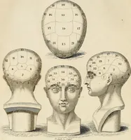 Picture 2 of 30 from An introduction to phrenology (1837), leaf 13