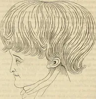 An illustration from An introduction to phrenology (1837)