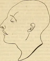 An illustration from An introduction to phrenology (1837)