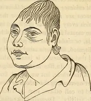 An illustration from An introduction to phrenology (1837)