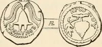 An illustration from An introduction to the study of ancient and modern coins (1848)