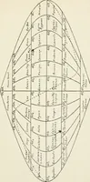 An illustration from Introduction to stellar statistics (1921)
