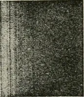 An illustration from Introduction to stellar statistics (1921)