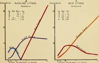 Picture 10 of 20 from An introduction to the study of colour phenomena, explaining a new theory of colour based entirely on experimental facts with applications to scientific and industrial investigations (1905), leaf 30