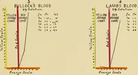 Picture 11 of 20 from An introduction to the study of colour phenomena, explaining a new theory of colour based entirely on experimental facts with applications to scientific and industrial investigations (1905), leaf 32