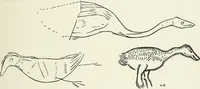 An illustration from An introduction to the study of prehistoric art (1915)