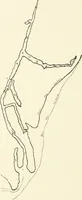 An illustration from An introduction to the study of prehistoric art (1915)