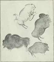 An illustration from An introduction to the study of prehistoric art (1915)