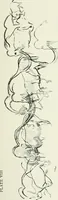 An illustration from An introduction to the study of prehistoric art (1915)