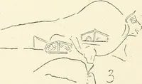 An illustration from An introduction to the study of prehistoric art (1915)