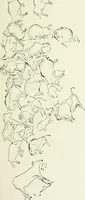 An illustration from An introduction to the study of prehistoric art (1915)