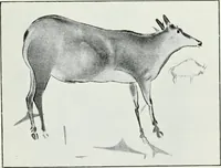 An illustration from An introduction to the study of prehistoric art (1915)