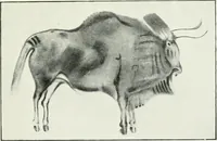 An illustration from An introduction to the study of prehistoric art (1915)