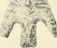 An illustration from An introduction to the study of prehistoric art (1915)