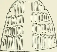 An illustration from An introduction to the study of prehistoric art (1915)