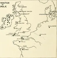 An illustration from An introduction to the study of prehistoric art (1915)