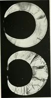 An illustration from An introduction to the study of prehistoric art (1915)