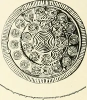 An illustration from An introduction to the study of prehistoric art (1915)