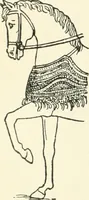 An illustration from An introduction to the study of prehistoric art (1915)