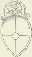 An illustration from An introduction to the study of prehistoric art (1915)