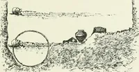 An illustration from An introduction to the study of prehistoric art (1915)