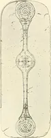 An illustration from An introduction to the study of prehistoric art (1915)