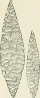 An illustration from An introduction to the study of prehistoric art (1915)