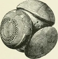 An illustration from An introduction to the study of prehistoric art (1915)