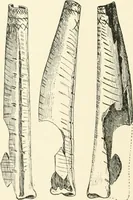 An illustration from An introduction to the study of prehistoric art (1915)