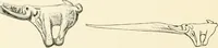 An illustration from An introduction to the study of prehistoric art (1915)