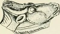An illustration from An introduction to the study of prehistoric art (1915)