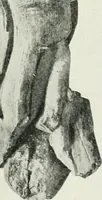 An illustration from An introduction to the study of prehistoric art (1915)