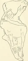 An illustration from An introduction to the study of prehistoric art (1915)