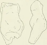 An illustration from An introduction to the study of prehistoric art (1915)