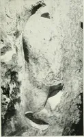 An illustration from An introduction to the study of prehistoric art (1915)