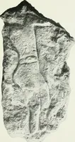 An illustration from An introduction to the study of prehistoric art (1915)