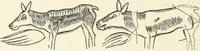 An illustration from An introduction to the study of prehistoric art (1915)