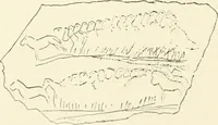 An illustration from An introduction to the study of prehistoric art (1915)