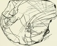An illustration from An introduction to the study of prehistoric art (1915)