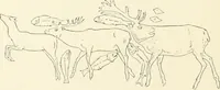 An illustration from An introduction to the study of prehistoric art (1915)