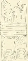 An illustration from An introduction to the study of prehistoric art (1915)