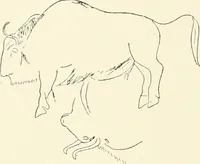 An illustration from An introduction to the study of prehistoric art (1915)